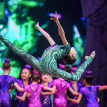 Фестиваль «Алина» 2017 - 143 