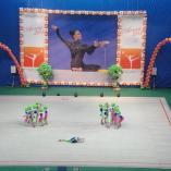 Турнир «Алина» 2013 - 25 