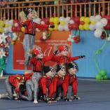 Турнир «Алина» 2010-2012 - 13 