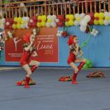 Турнир «Алина» 2010-2012 - 26 